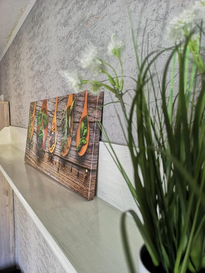 Cozy Flat, Central, Easy Parking, Clam Appartamento Bayreuth Esterno foto